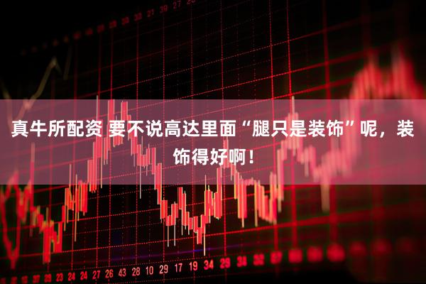 真牛所配资 要不说高达里面“腿只是装饰”呢，装饰得好啊！
